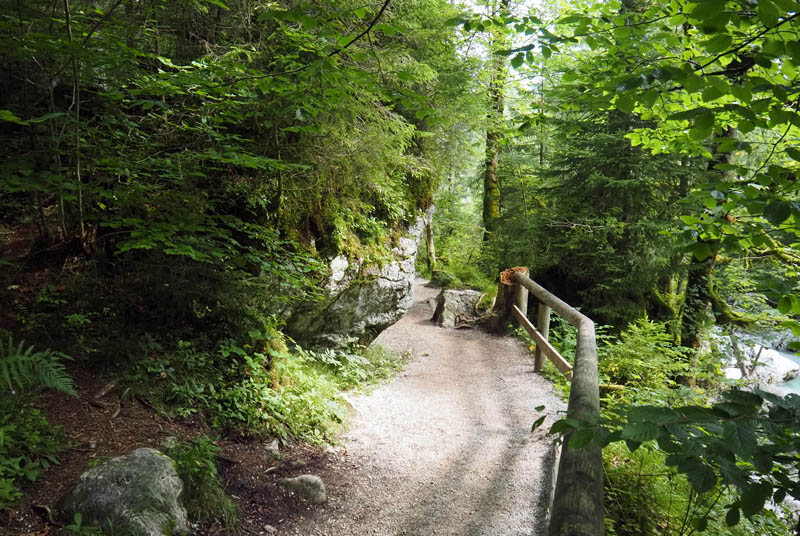 Zauberwald